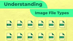 Image कितने प्रकार के होते हैं? पूरी जानकारी हिंदी में!